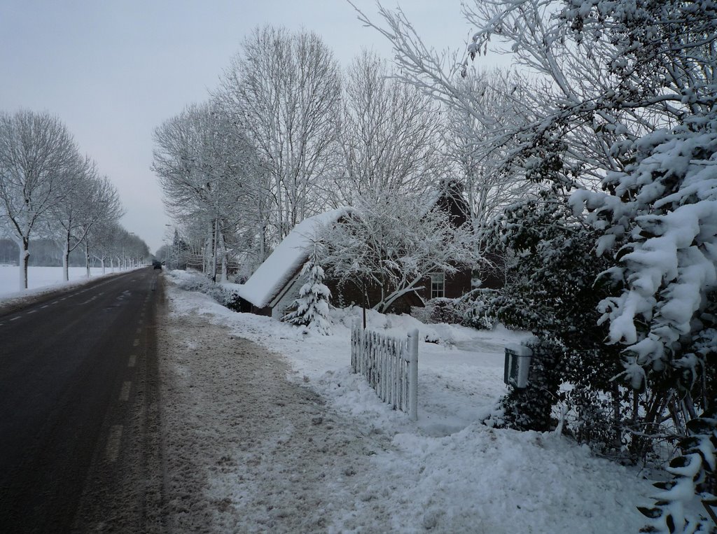 Capelle, Waspiksedijk, besneeuwde dijk, 21-12-2009 by k'hoek