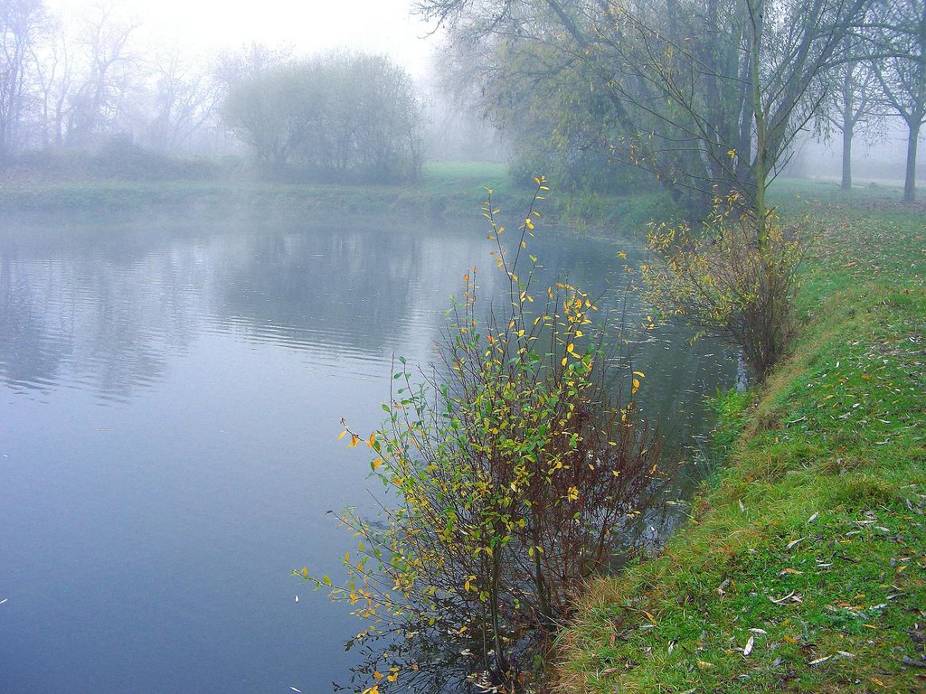 Etang à Longvic (THIEU) by Thieu83