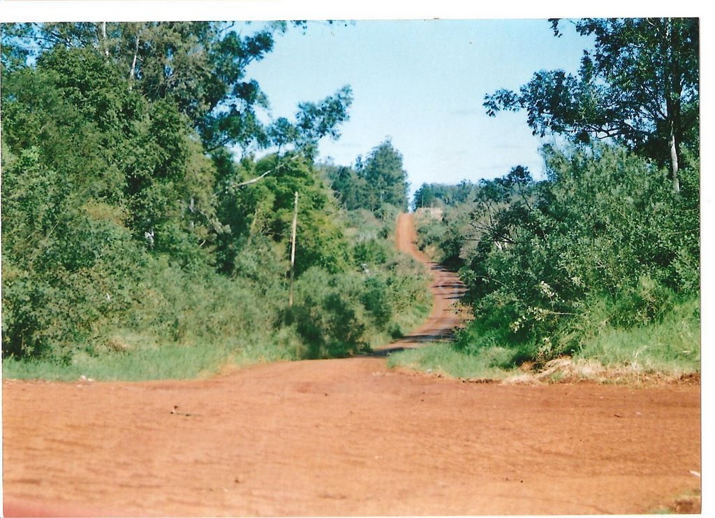 Camino rural en Apòstoles by luca_np