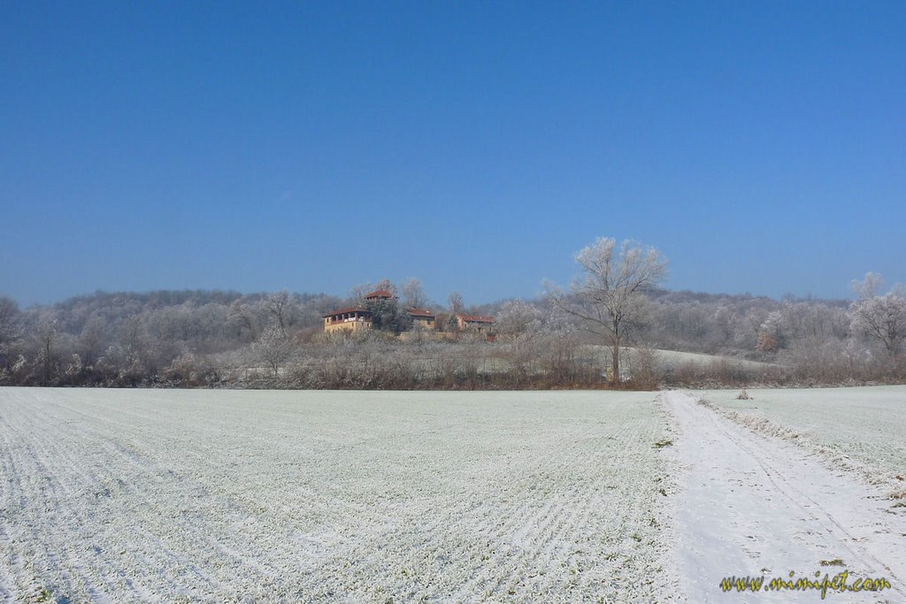 Snow & Freeze, around Rivalta di Torino, Italy by © mimipet.com