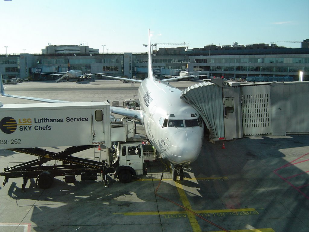 FRA Gate B20 SunExpress Boeing 737-800 by Holger Gail