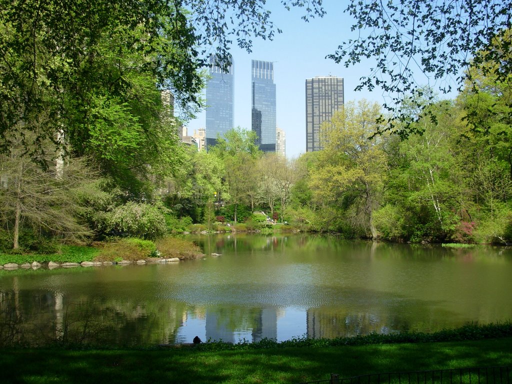 New York, Central Park by superlelz