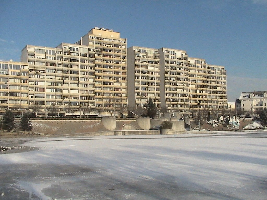 Les rives du lac sous la neige 01/2009 by Bruno Dion