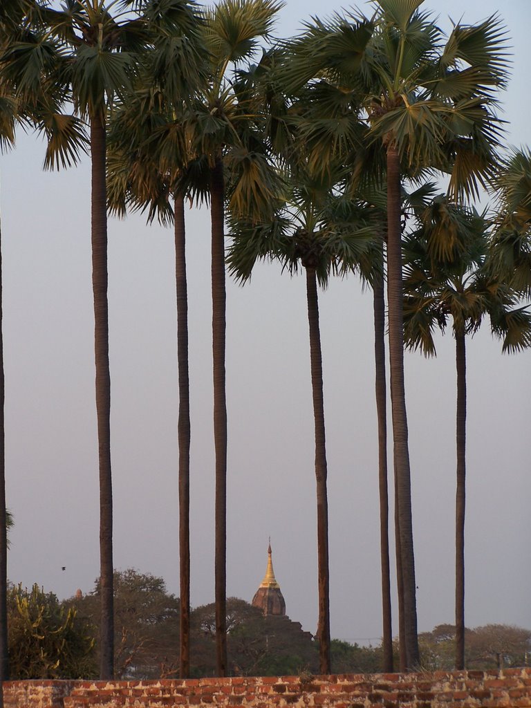 Bagan - Myanmar 2005 by erree