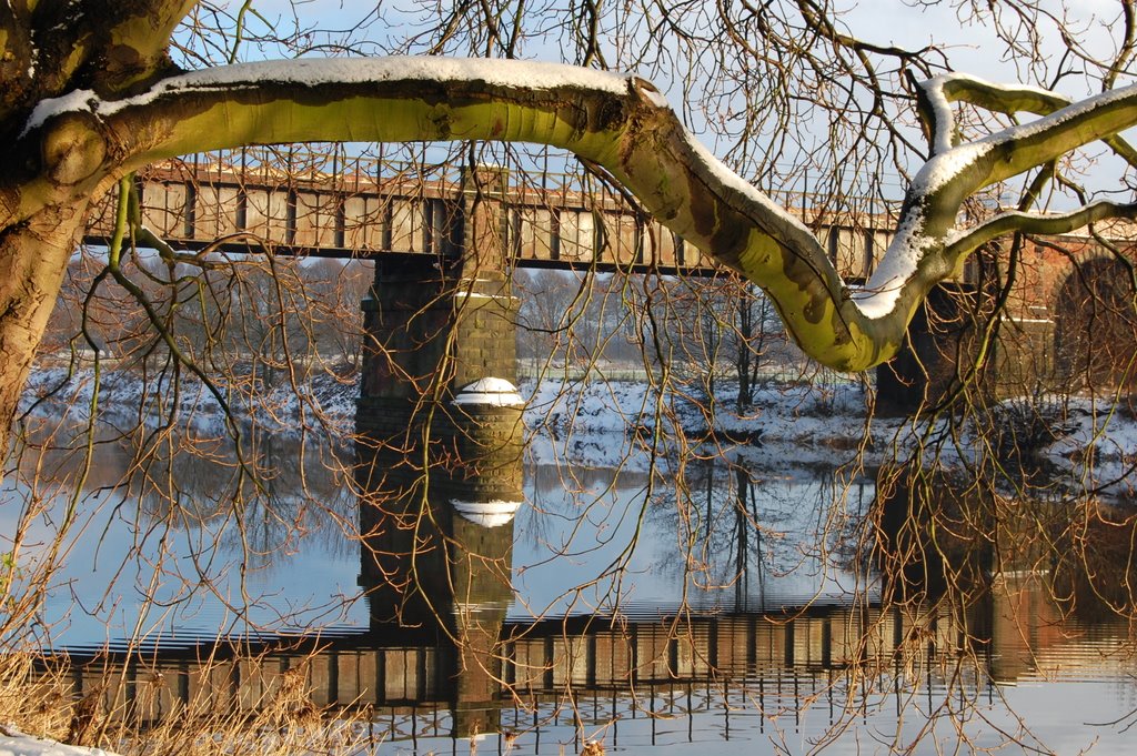 Old railway bridge, December 2009 by Laura_C