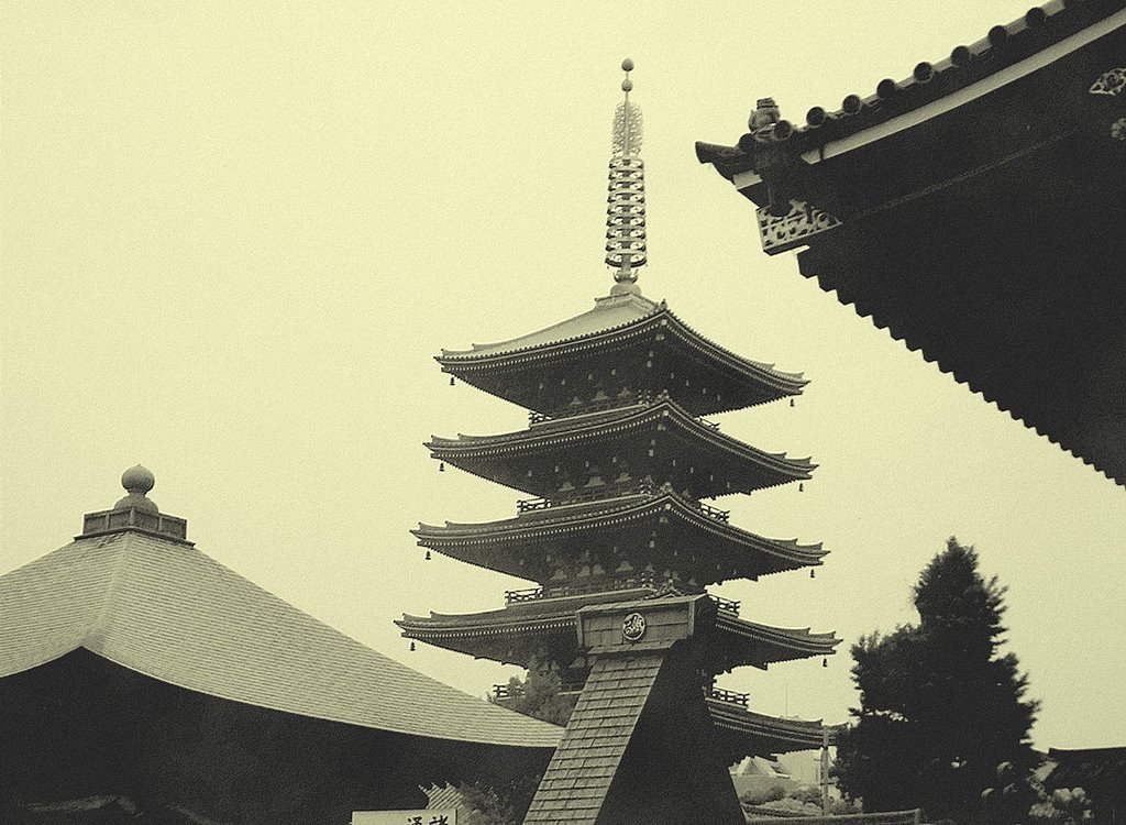 Roofs in Senso-ji Asakusa by CiccioNutella