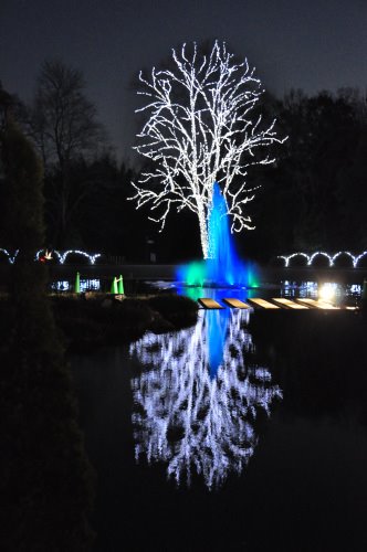 The Christmas illuminations of the Kyoto botanical garden by sonotune