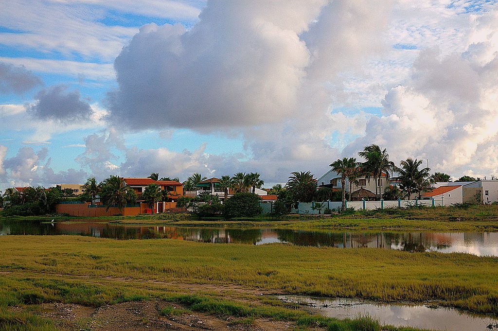 Aruba by Preston Low