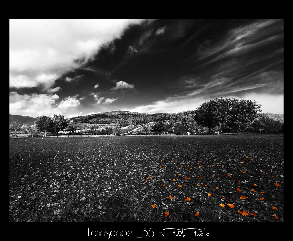 Landscape # 85 by © Marcello Paoli