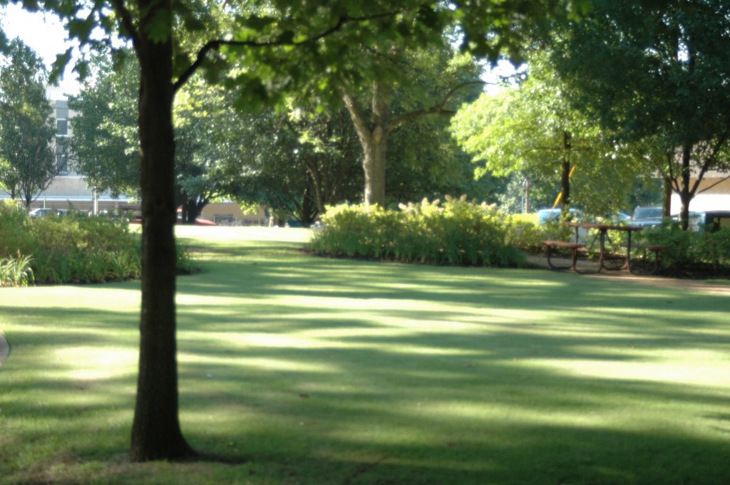 Frazier Park - Decatur, Alabama by Samuel Barnett