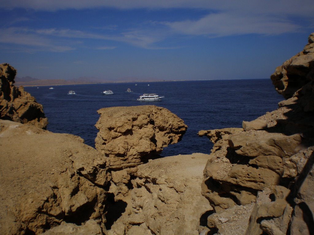 Ras Mohamad National Park by Gasparyan Armen