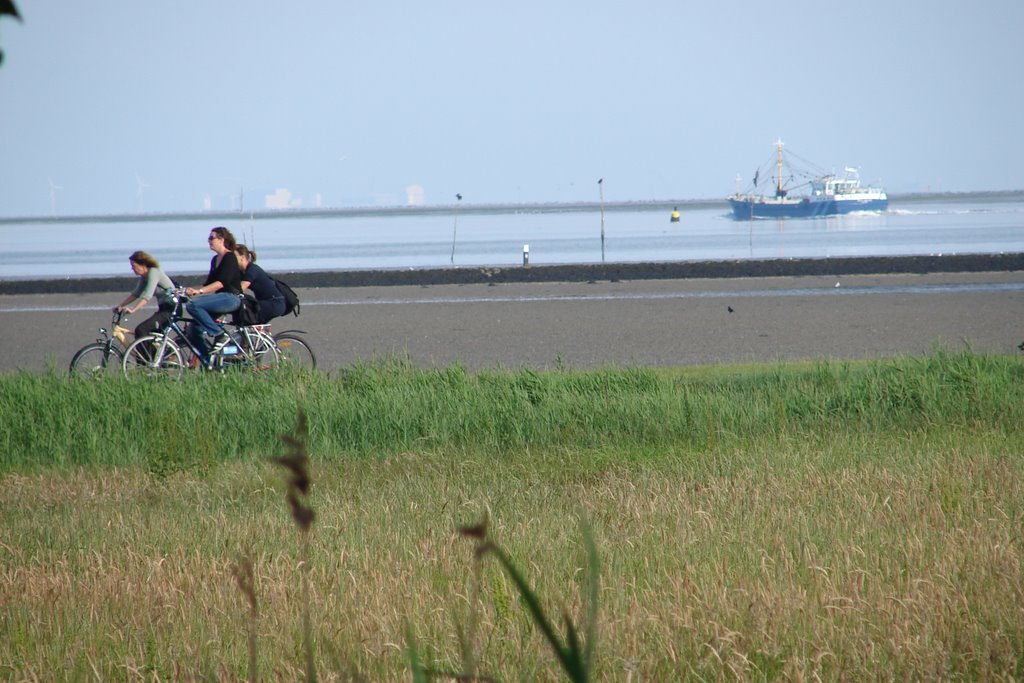 Het Wad bij Dellewal by rob van der kroft