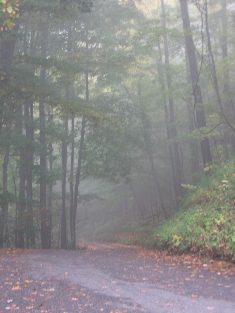 Smoky Mountain Fog by 05winger