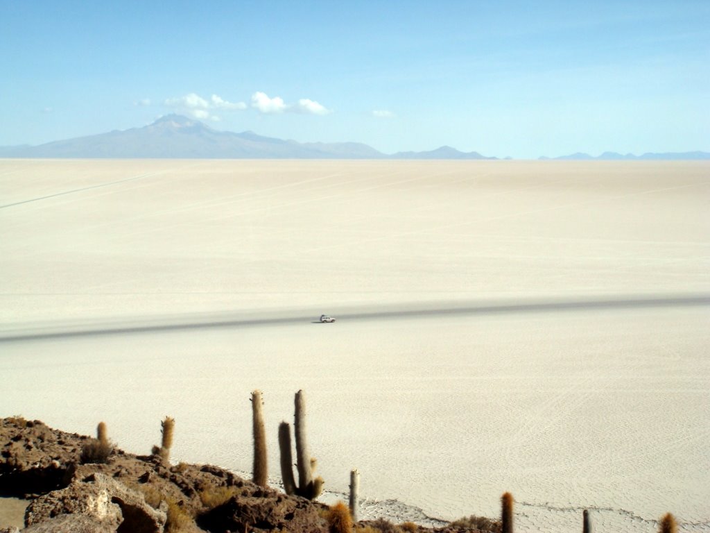 BOLIVIA Salar de Uyuni desde la Isla Incahuasi. Al fondo, Volcán Tunupa by Talavan