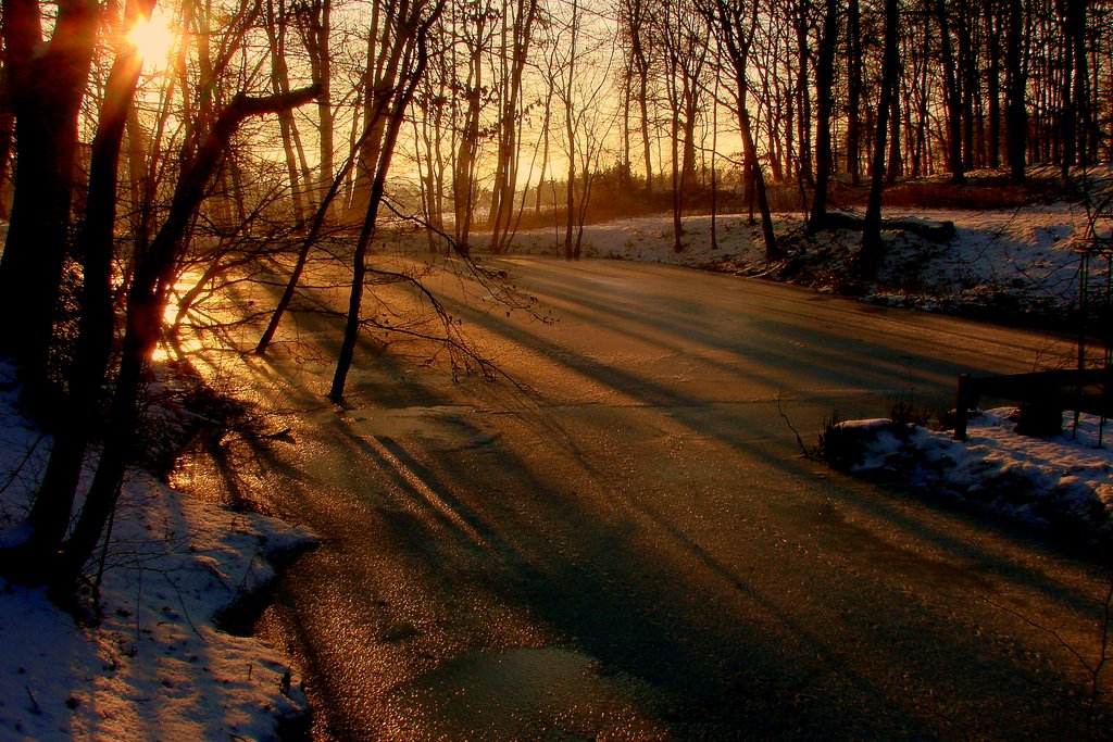 Ponds at Weberhaus at Christmas 2009/2 by Andreas Fischer (Lintorf)