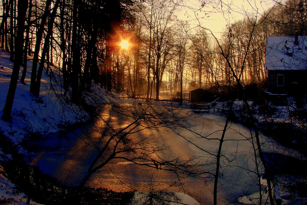 Ponds at Weberhaus at Christmas 2009 by Andreas Fischer (Lintorf)