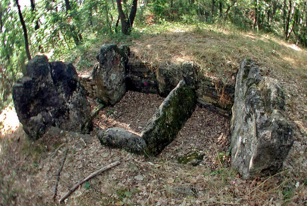 Tourrettes : dolmen de la Verrerie by Royon