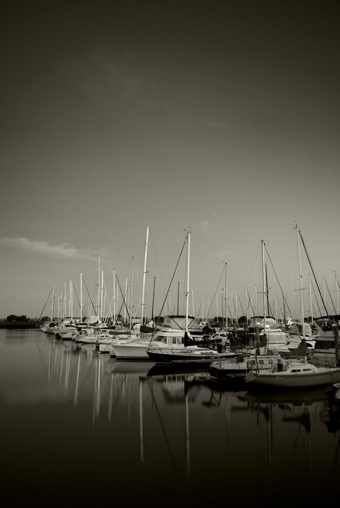 Moored by Matt Haysom