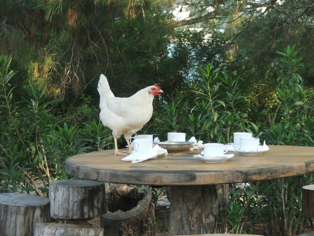 Kemer Yörük Çadırı by Dariga