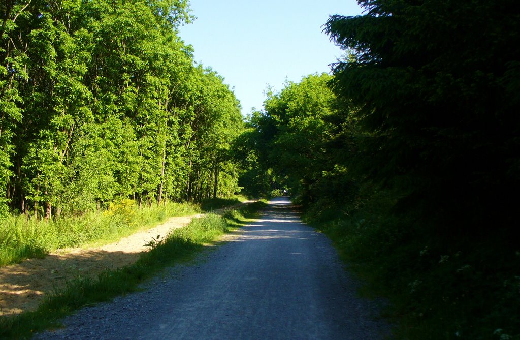 Langenfeld/Leichlingen - Sandberge (1199) by Felix2008