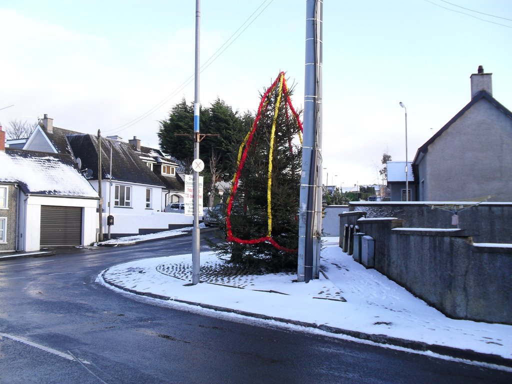 Christmas Tree in Drumbo by denzell393