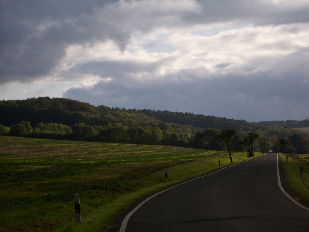 Blick nach Loßnitz by Andune