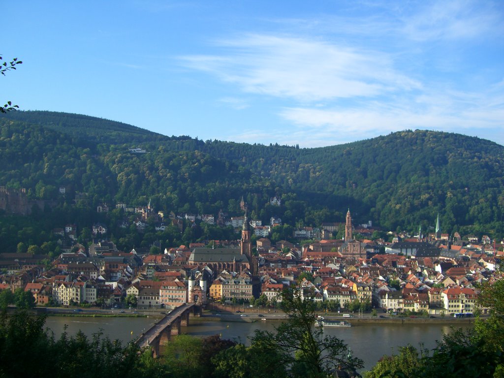 Heidelberg, Germany by Yasumasa Ibuki