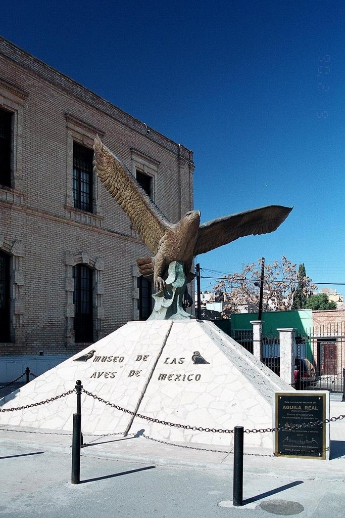 MUSEO DE LAS AVES DE MEXICO by Samuel Polendo Villegas