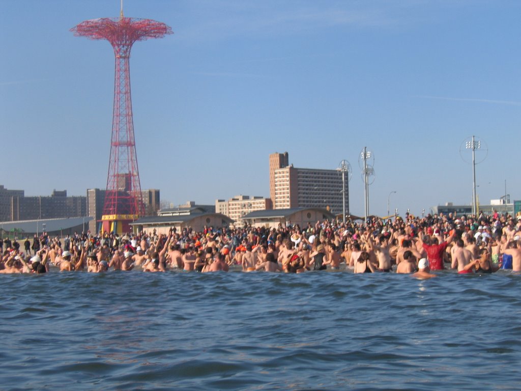 January 1st Coney Island Polar Bears by baidarka