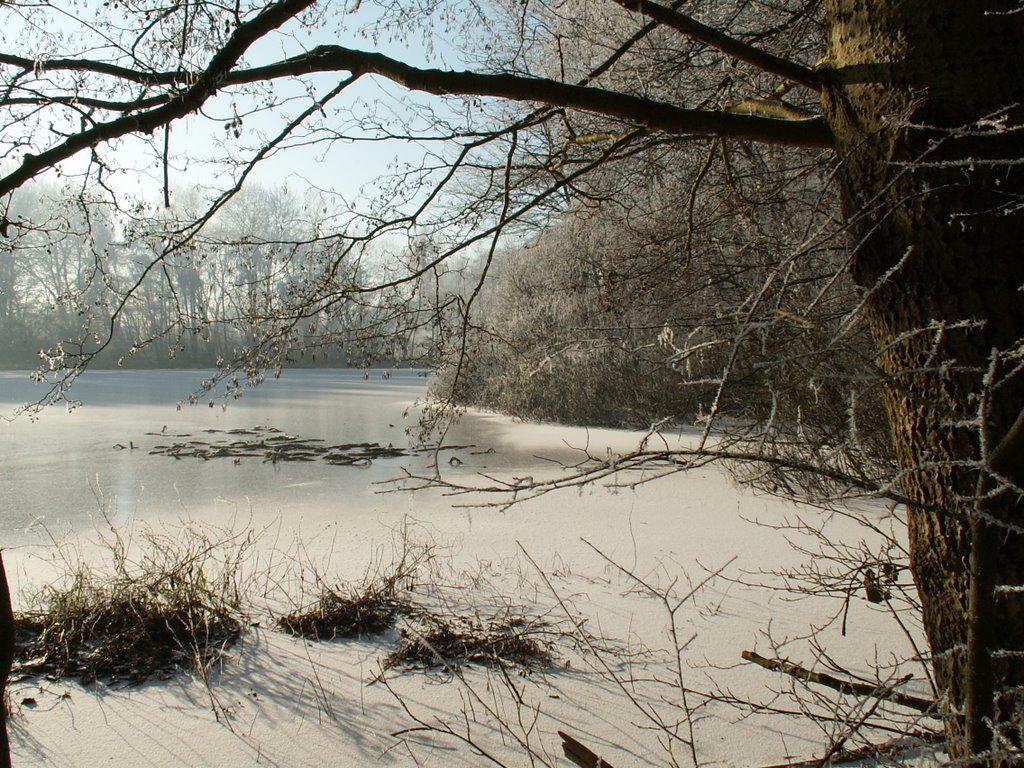 Winter op De Heinis 15 by J. Tibosch