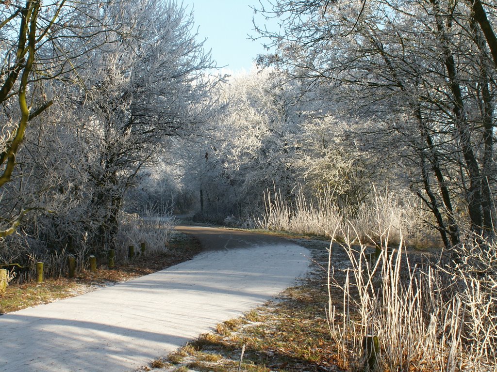 Winter op De Heinis 09 by J. Tibosch