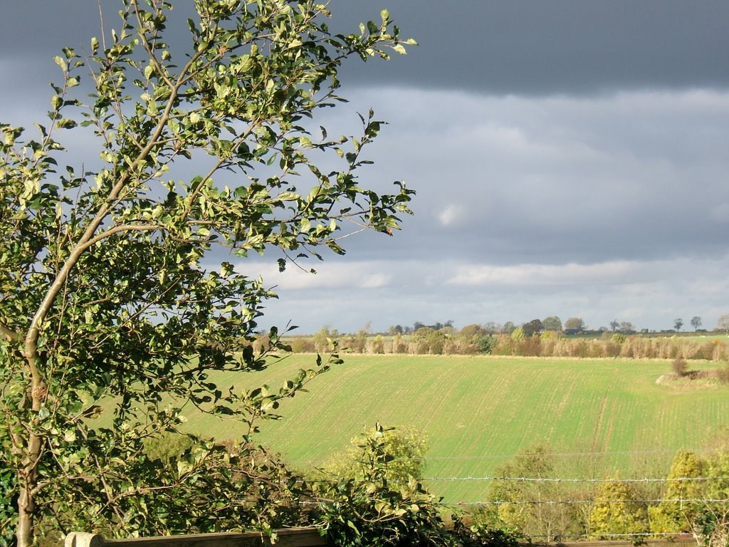 Field View at Husbands Bosworth by RalphH