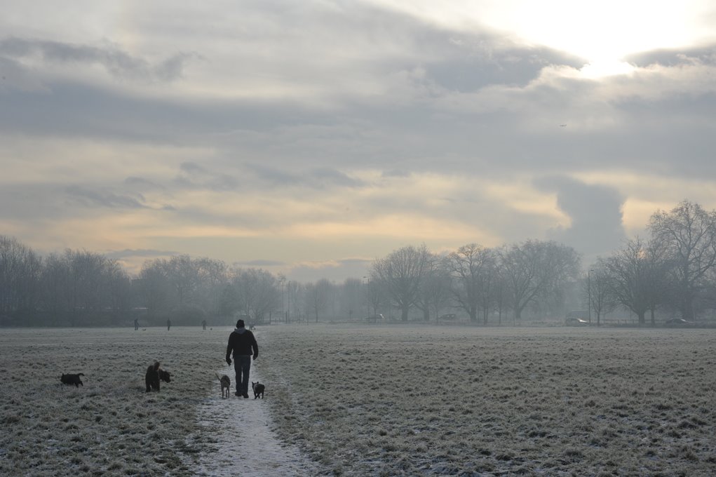 Putney Common December 09 by davehiltonroberts