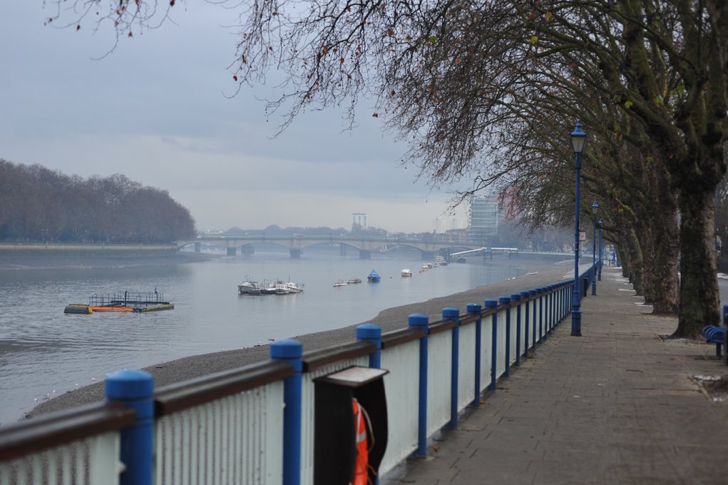 Putney Embankment at Leaders Gardens by davehiltonroberts