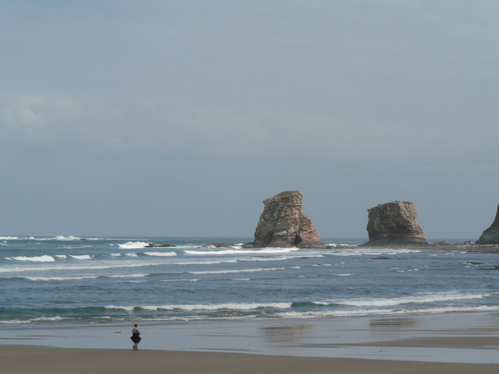 Walking in Hendaya beach by Mikel Alaetxe