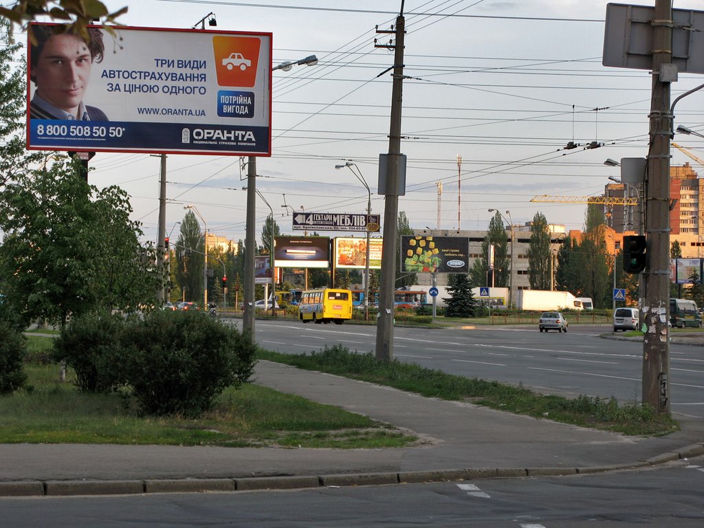 Вид на перехрестя просп. Ватутіна - бул. Перова - просп. Маяковського, вул. Закревського by Leonid Andronov