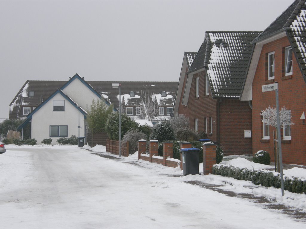 Veilchenweg by Fotoberchtel