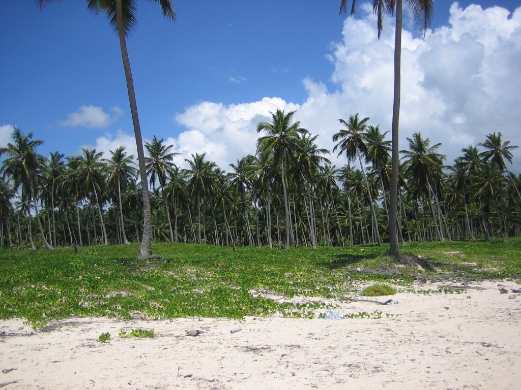 Punta Cana beach by ryn