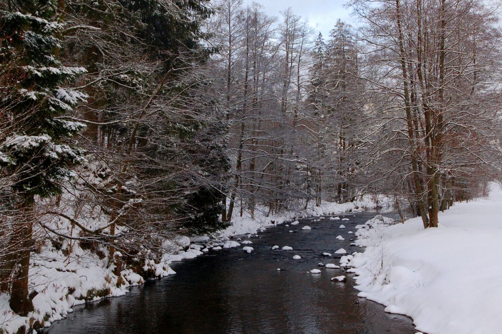 La rivière by fvexler