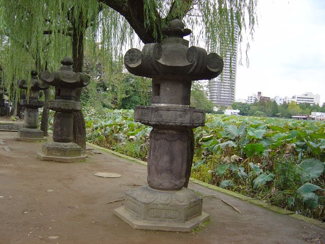 Ueno park by anxoveta