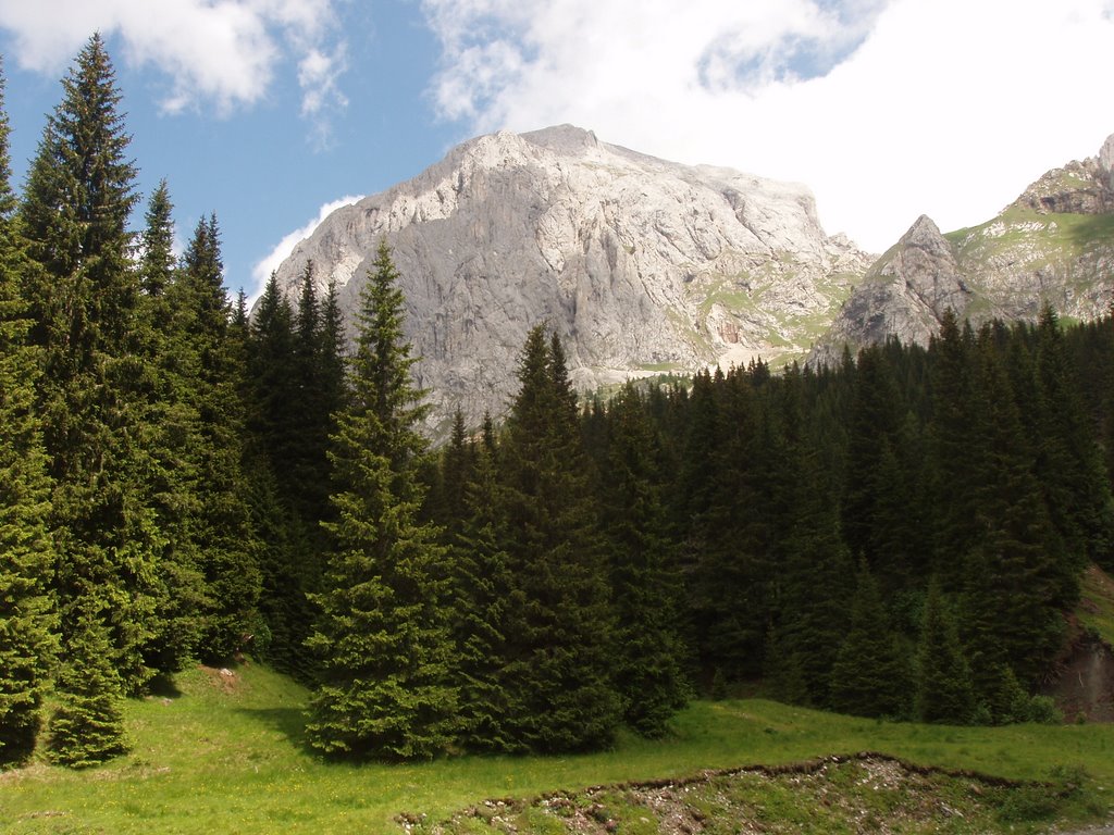 Verso il monte Peralba by Mario Trieste