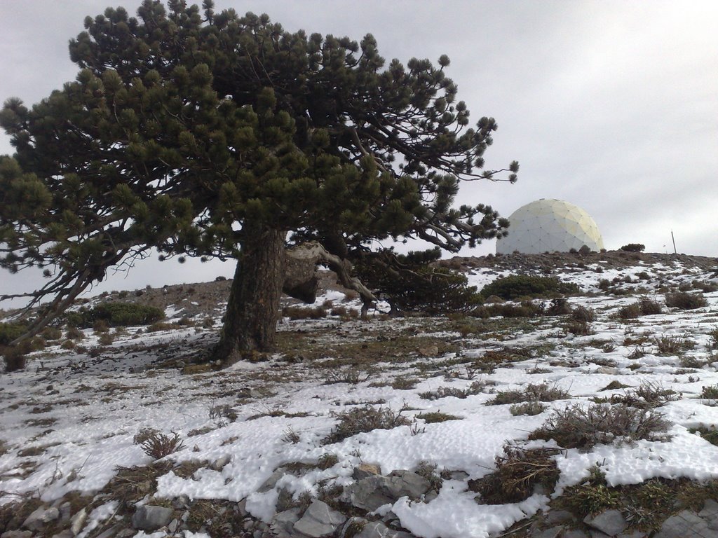 Llegando a la cima del potosi by leonel treviño