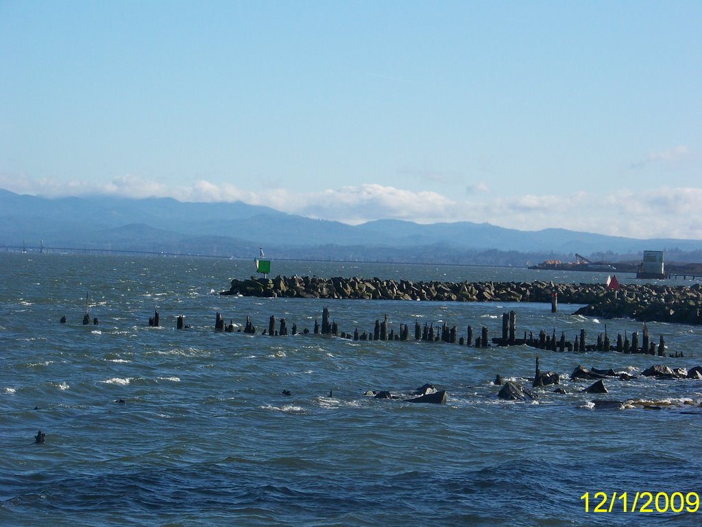 Estuary of Columbia River by Wester