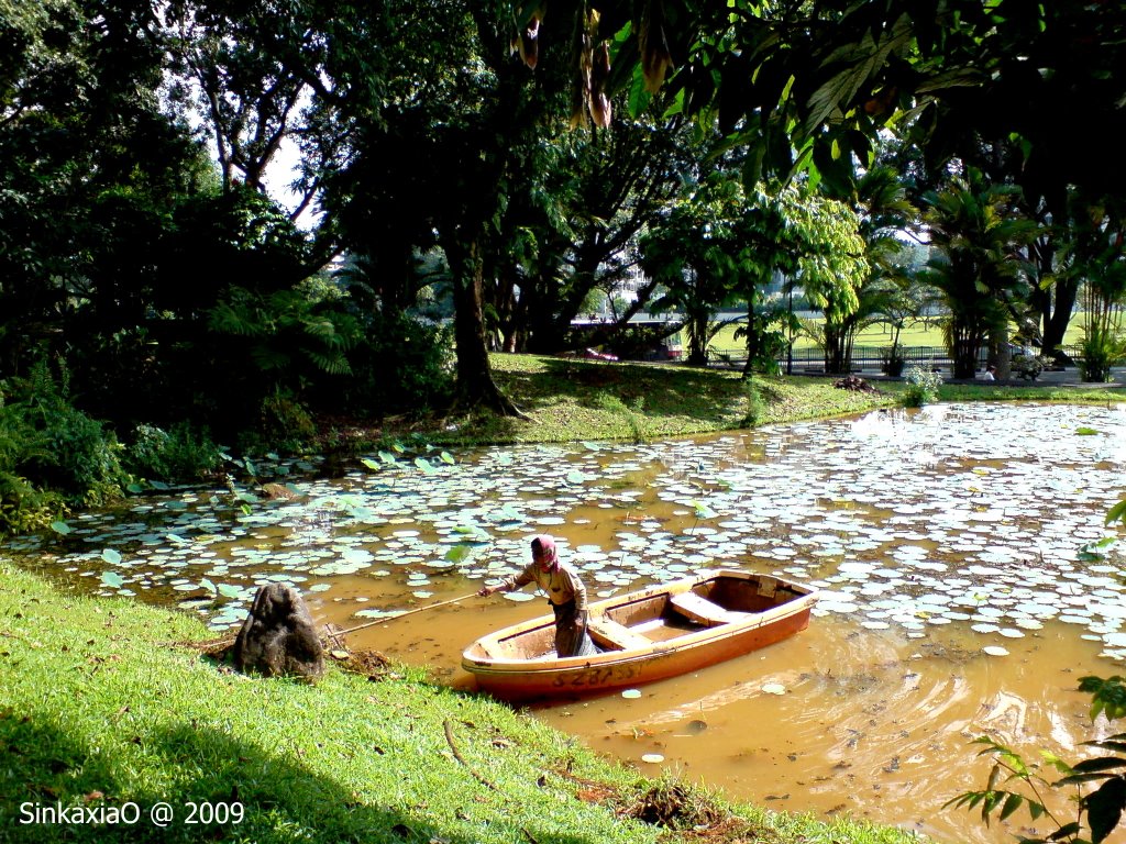 Ang Mo Kio Park by Sincere Photo