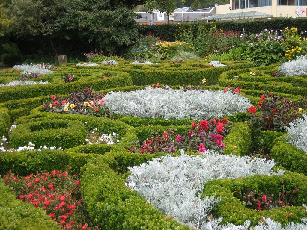 Dunedin Botanic Garden 但尼丁植物园一瞥 by Dandi Duan