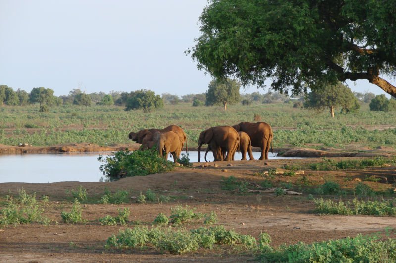 Satao Camp by Thomas P.