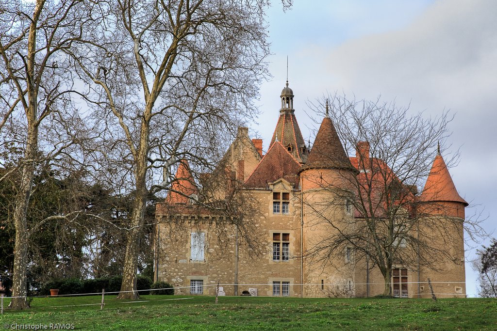 Le Château de la Serre by Christophe RAMOS