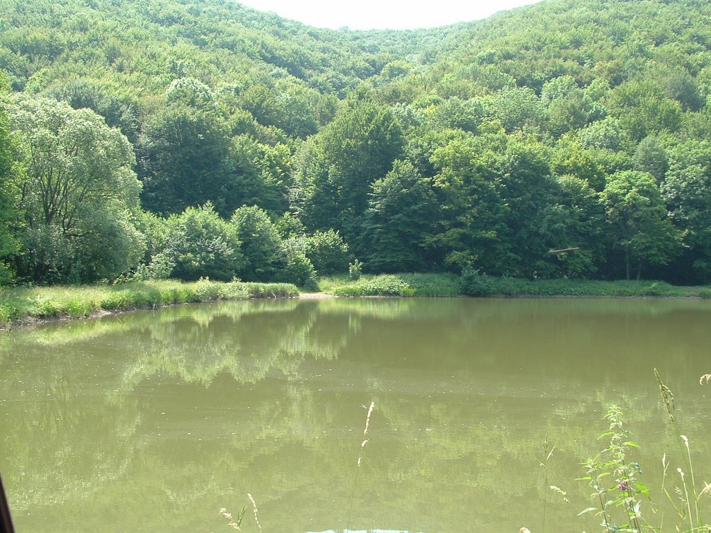 Ménes-tó by Kerak