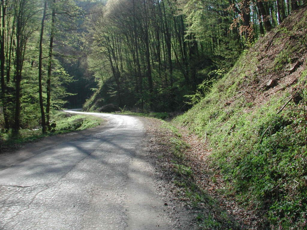 Ajka, Padragkút, 8451 Hungary by Németh Ádám