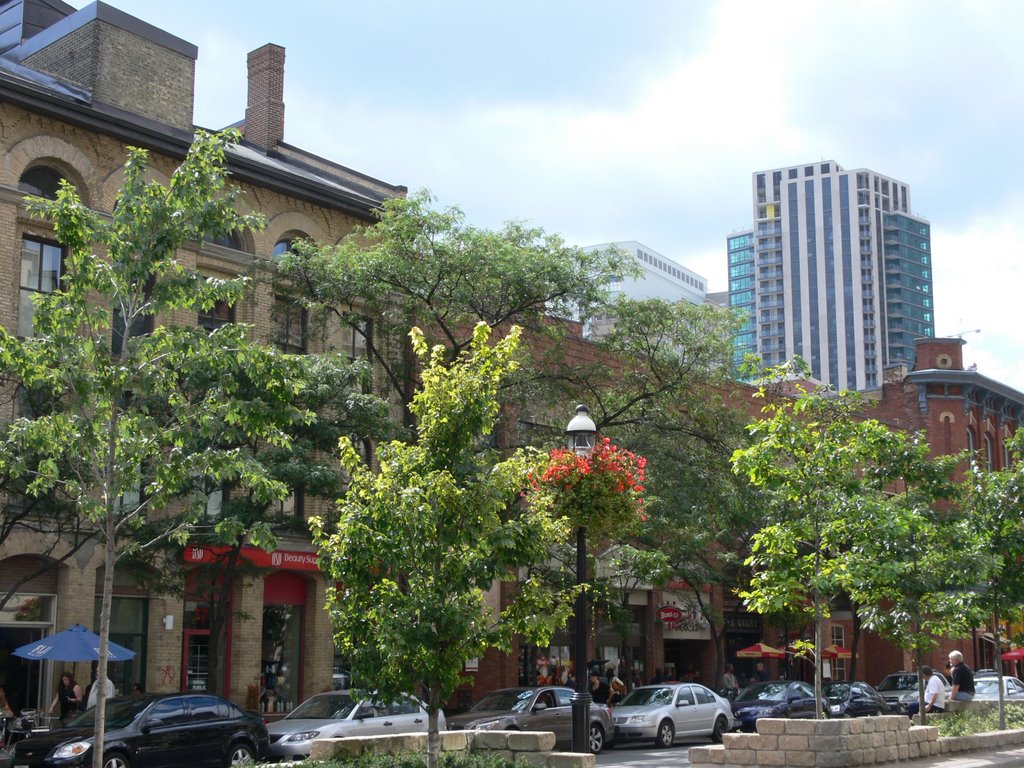 Toronto - King Street near St James Park by Naru Kenji